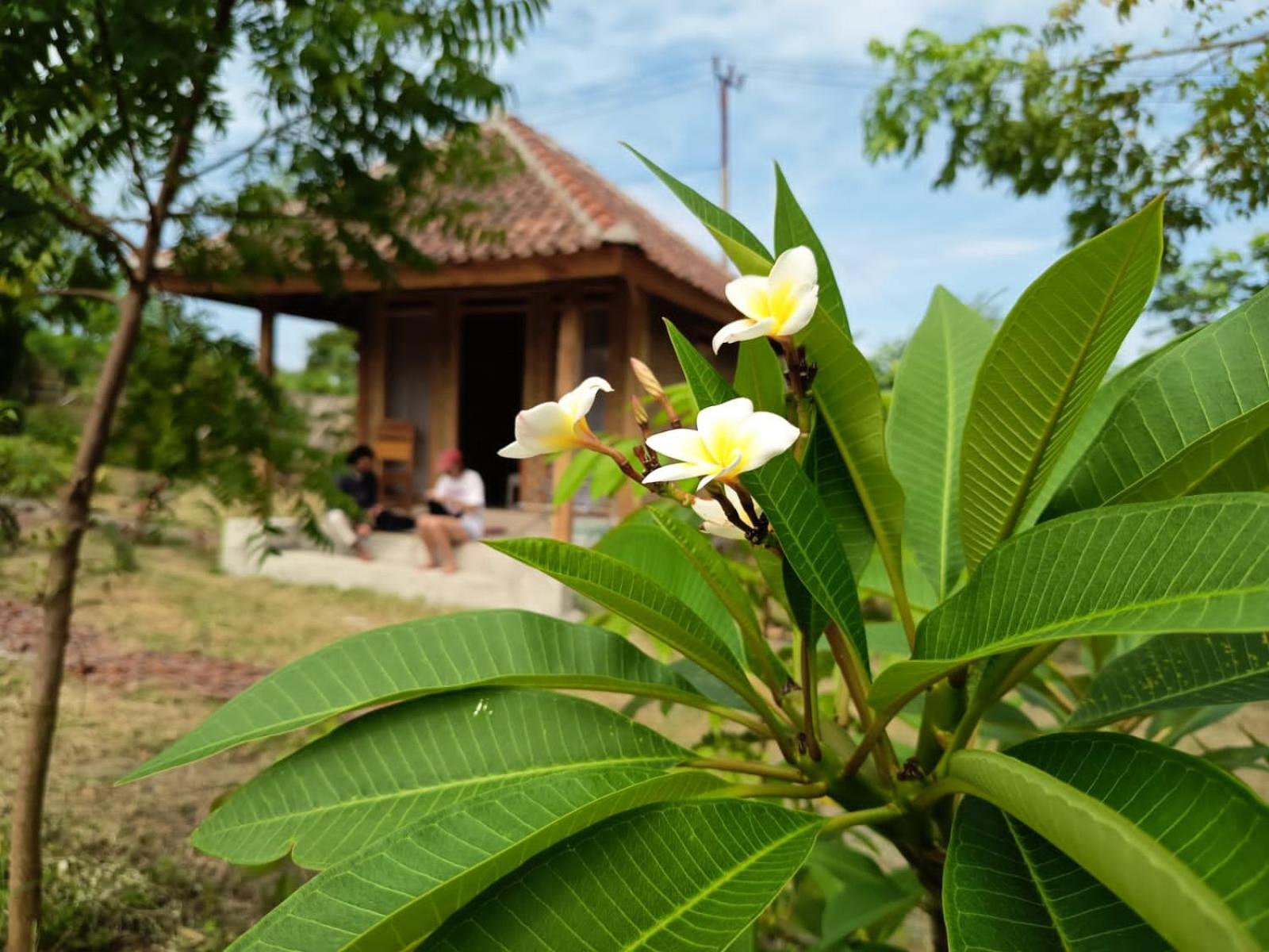 Hotel Melody Surf - Ekas Lombok Extérieur photo