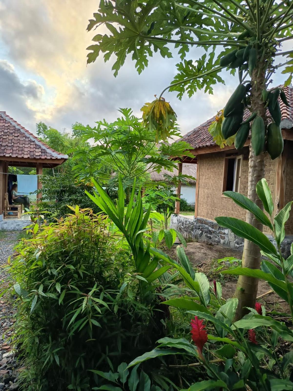 Hotel Melody Surf - Ekas Lombok Extérieur photo